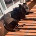 Dan Kneip - Facebook