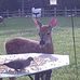 Dan Knipp - Facebook
