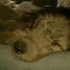 Daniel Knoll - @daniel.knoll90 - TikTok