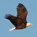 Dan Kohler - Facebook