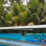Kolam Dan Lesehan - Facebook