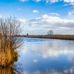 Dan Koss - Facebook