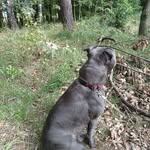 Dan Kovář - @kovar.dan12 - Instagram