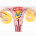 Dank Ovaries - @dank_ovaries - Instagram