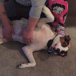 Daniel Krapf - @dan_krapf60 - Instagram