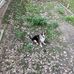 Dan Kreider - Facebook