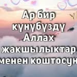 Данияр Кубатов - @dankubatov34 - Instagram