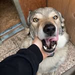 @dankubat - Instagram