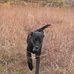 Dan Kuchar - Facebook