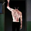 mboh - @dankull_505 - TikTok