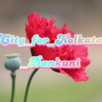 Dankuni City and Kolkata videos - @city_for_kolkata_dankuni - Instagram