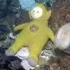 Dankunicycle480 - @dankunicycle480 - TikTok