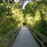 Dan Kunze - @kunzedan - Instagram