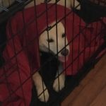 @dan.labrecque - Instagram