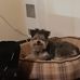 Dan Lachance - Facebook