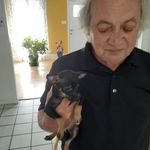 Dan Lachance - @dan.lachance.73 - Instagram