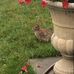 Danielle Langevin - Facebook