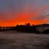 Dana Lanham - @dana.lanham8 - TikTok