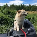 Dan Lapointe - @danlapointe5 - Instagram