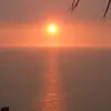 danalapointeosull - @danalapointeosull - TikTok