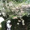 Dan Laws - @danlaws6 - TikTok