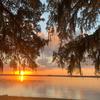 🌊 🌲 FloridaDan 🌴 🐊 - @danlayton00 - TikTok