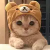 Dan - @dandelledonne - TikTok