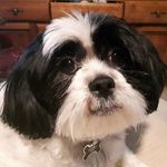 Dan Leech - @dan.leech.75 - Instagram