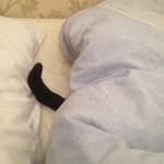 Danleech - @danleech12345 - Instagram