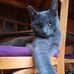 Dan Leger - Facebook