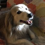 Dan Lehr - @dan_lehr_ - Instagram