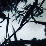 dan lerner - @beautiness_in_pictures - Instagram