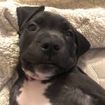Dan Letourneau - @dan.letourneau.37 - Instagram