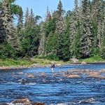 Dan Letourneau - @wildmandannyl - Instagram