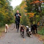 Dan Levin - @1manwolfpacktrailruns - Instagram