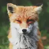 danlevin773 - @danlevin773 - TikTok