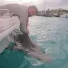 Dan Levine - @dan.levine - TikTok