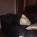 Daniel Liddicoat Hulme - Facebook