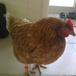 dan liddle - @liddle.dan - Instagram