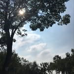 @danligongsi - Instagram