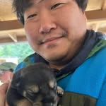 Dan Lim - @danlimburger - Instagram