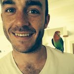 Dan Linehan - @lined_1988 - Instagram