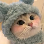 @dan.liner - Instagram