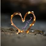 @danli_ner6002 - Instagram