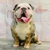 Daniel Lintern - @daniel.lintern - TikTok