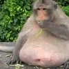 daniellinville918 - @daniellinville918 - TikTok