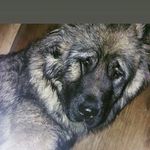 липчанский Александр - @daniillipcanskij - Instagram