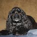 Dan Lipton - Facebook