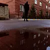 dani_lipton - @dani_lipton - TikTok