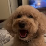 Dan littmann - @littmanndan - Instagram